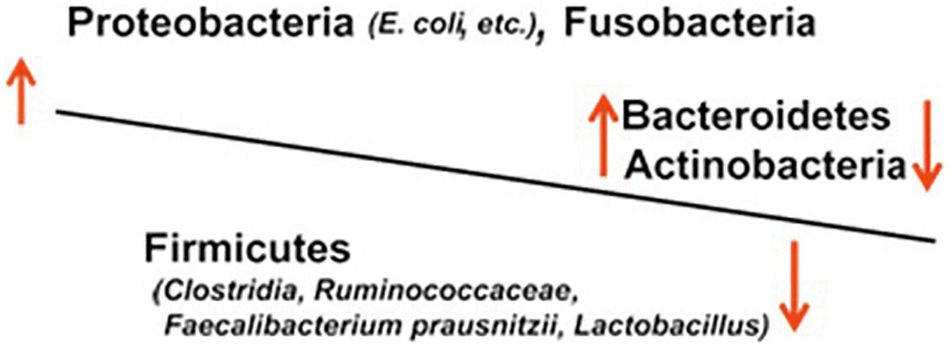 Gastrointestinal disorders and intestinal bacteria: Advances in research and applications in therapy